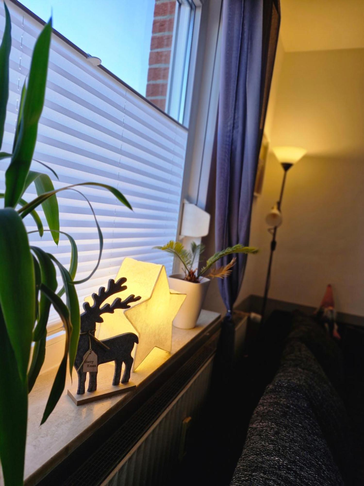 Apartment Mit Garten Bad Lauterberg Exteriör bild